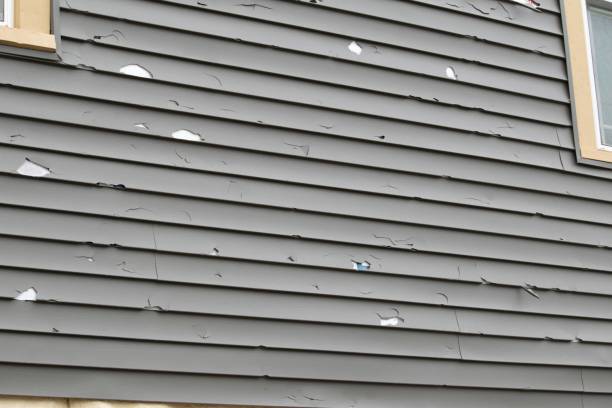 Best Insulated Siding Installation  in New Carlisle, OH