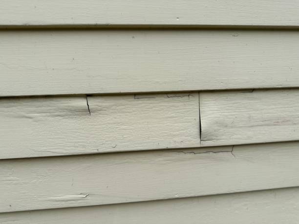 Best Vinyl Siding Installation  in New Carlisle, OH